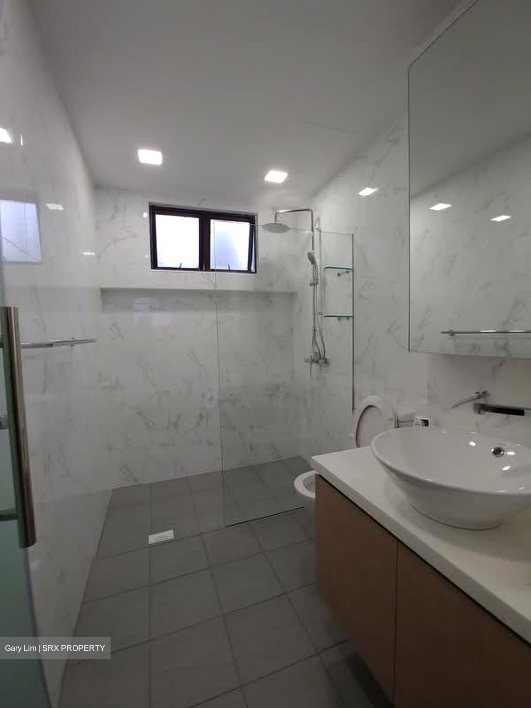 Tanglin Park (D10), Condominium #568788021